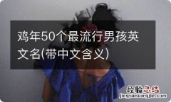 带中文含义 鸡年50个最流行男孩英文名