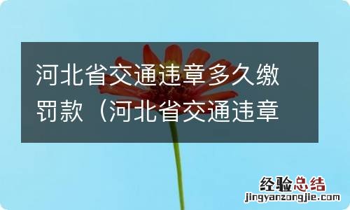 河北省交通违章罚款网上缴费 河北省交通违章多久缴罚款