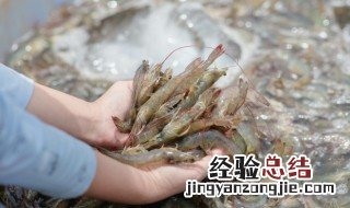 去虾壳虾线的小技巧 去虾壳虾线的小技巧是什么