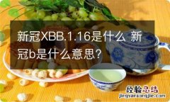 新冠XBB.1.16是什么 新冠b是什么意思?