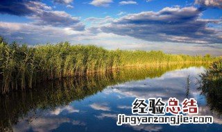 湿地又被称为什么 湿地的解释