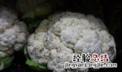 花菜有黑点还可以吃吗 花菜有黑点还可不可以吃