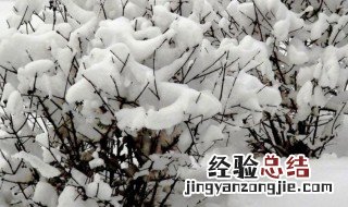 梦见雪是什么意思 梦见雪有什么寓意