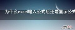 为什么excel输入公式后还是显示公式 为什么excel输入公式后还是显示公式中