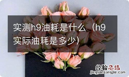 h9实际油耗是多少 实测h9油耗是什么