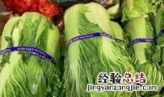 冷库储存大白菜的方法 冷库大白菜保鲜库保鲜技术