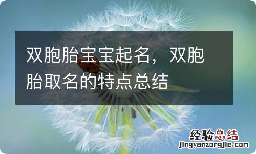 双胞胎宝宝起名，双胞胎取名的特点总结