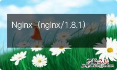 nginx/1.8.1 Nginx