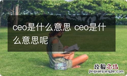 ceo是什么意思 ceo是什么意思呢