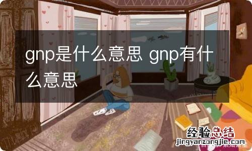 gnp是什么意思 gnp有什么意思