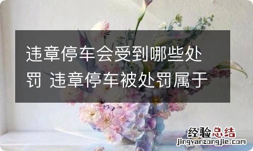 违章停车会受到哪些处罚 违章停车被处罚属于什么责任