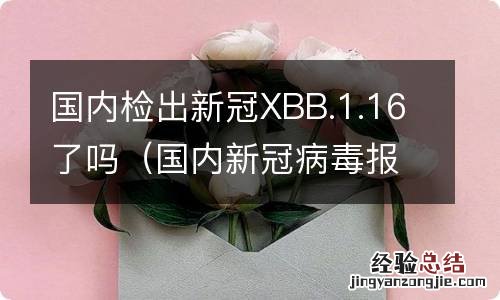 国内新冠病毒报告 国内检出新冠XBB.1.16了吗