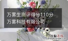 万雾生测评得分110分 万雾科技有限公司