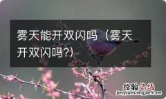 雾天开双闪吗? 雾天能开双闪吗