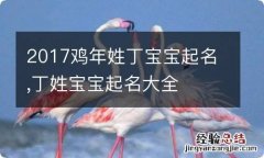 2017鸡年姓丁宝宝起名,丁姓宝宝起名大全