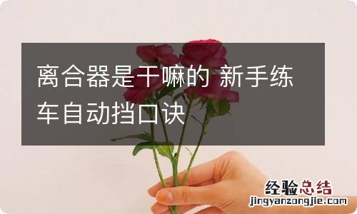 离合器是干嘛的 新手练车自动挡口诀