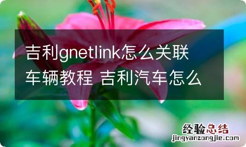 吉利gnetlink怎么关联车辆教程 吉利汽车怎么连接gnetlink