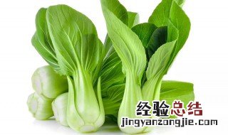 油菜和上海青的区别图油菜好吃还是上海青好吃 油菜和上海青的区别