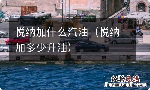 悦纳加多少升油 悦纳加什么汽油