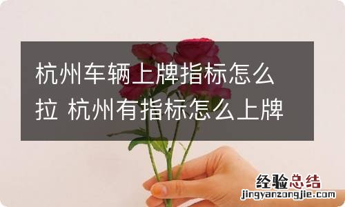 杭州车辆上牌指标怎么拉 杭州有指标怎么上牌
