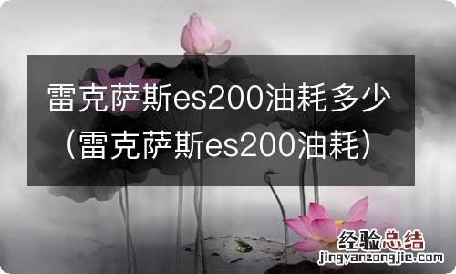 雷克萨斯es200油耗 雷克萨斯es200油耗多少