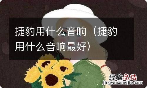 捷豹用什么音响最好 捷豹用什么音响