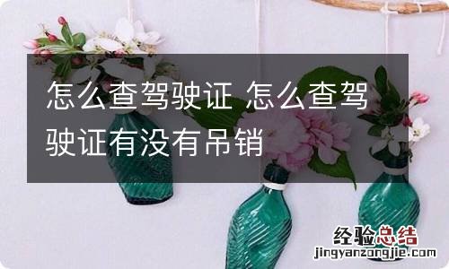 怎么查驾驶证 怎么查驾驶证有没有吊销