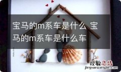 宝马的m系车是什么 宝马的m系车是什么车