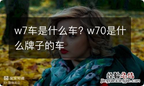 w7车是什么车? w70是什么牌子的车