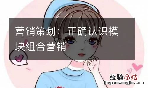 营销策划：正确认识模块组合营销