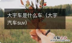 大宇汽车suv 大宇车是什么车