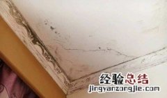 墙面潮湿发霉怎么办 墙面潮湿发霉的处理方式