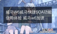 威马W6威马快捷SOA功能使用体验 威马w6加速