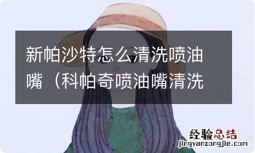 科帕奇喷油嘴清洗 新帕沙特怎么清洗喷油嘴