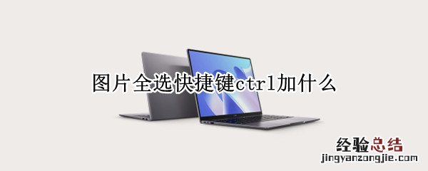 图片多选是ctrl加什么 图片全选快捷键ctrl加什么