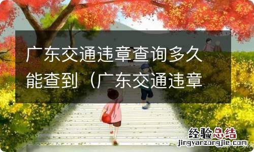 广东交通违章查询一般几天能查到? 广东交通违章查询多久能查到