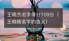 王晓晓名字的含义 王晓杰名字得分109分