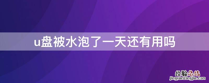 u盘水泡了一天还能用吗 u盘被水泡了一天还有用吗