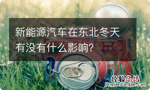 新能源汽车在东北冬天有没有什么影响?