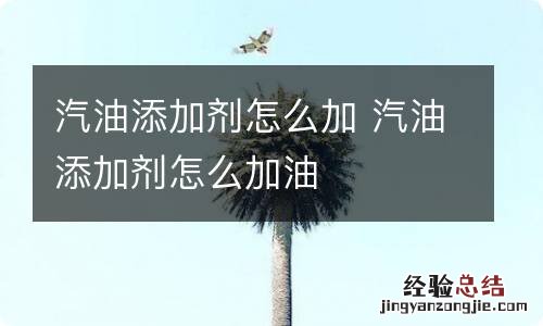 汽油添加剂怎么加 汽油添加剂怎么加油