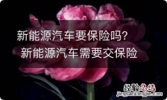 新能源汽车要保险吗？ 新能源汽车需要交保险吗