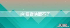 siri语音唤醒不了