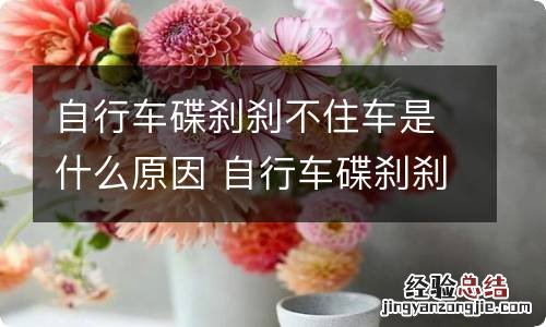自行车碟刹刹不住车是什么原因 自行车碟刹刹不住车怎么办