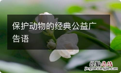 保护动物的经典公益广告语