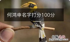 何鸿申名字打分100分