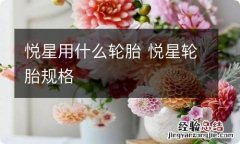 悦星用什么轮胎 悦星轮胎规格