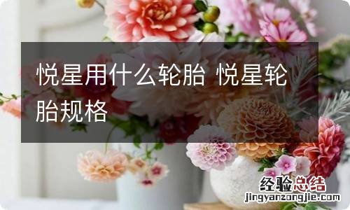 悦星用什么轮胎 悦星轮胎规格