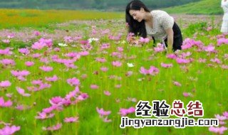 四月份的花海 4月的花海哪里更美