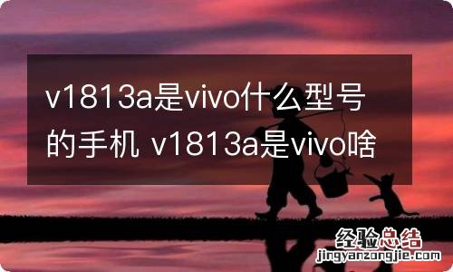 v1813a是vivo什么型号的手机 v1813a是vivo啥型号的手机