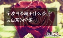 宁波白茶属于什么茶 宁波白茶的介绍